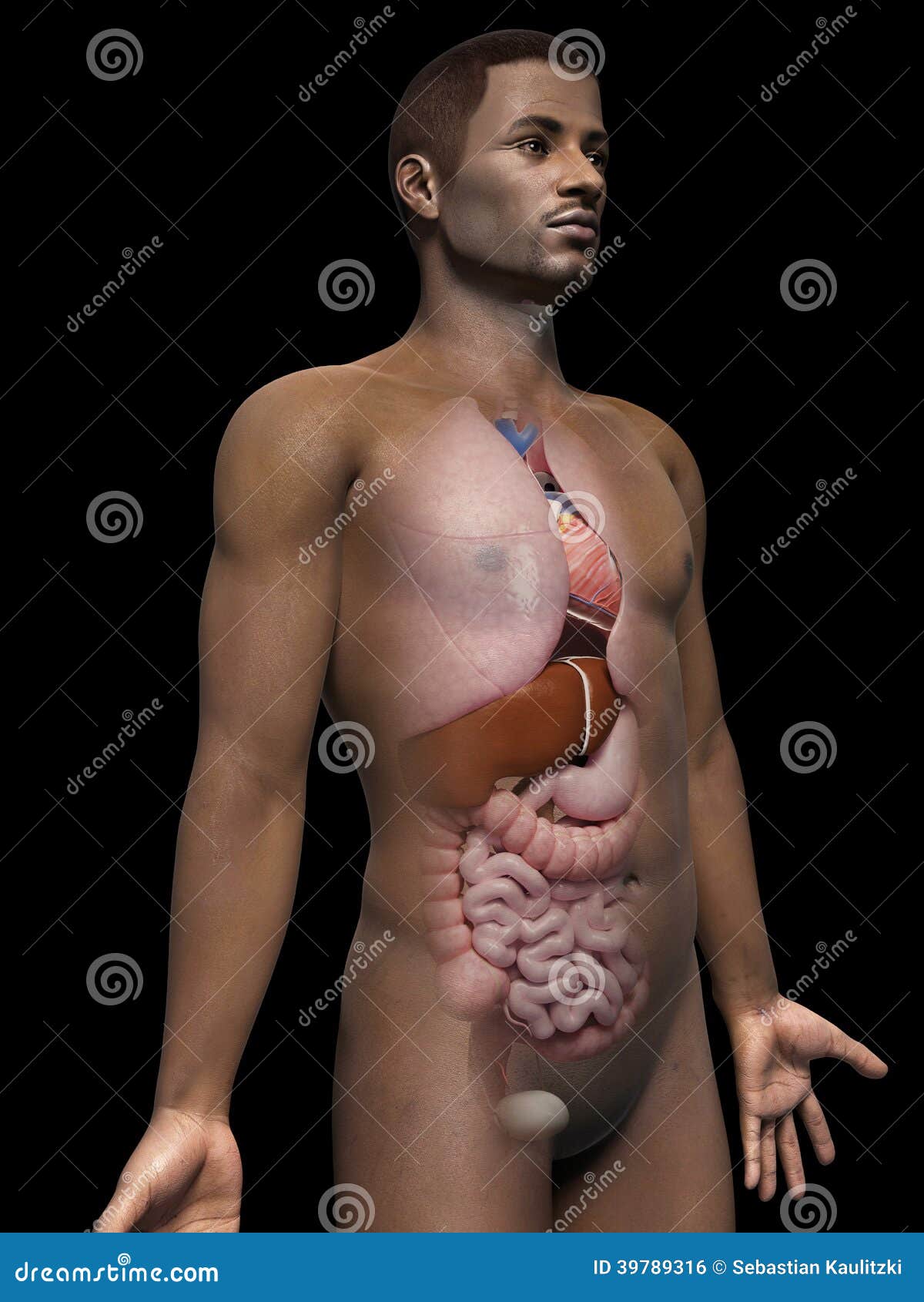 Man'S Sex Organs 109