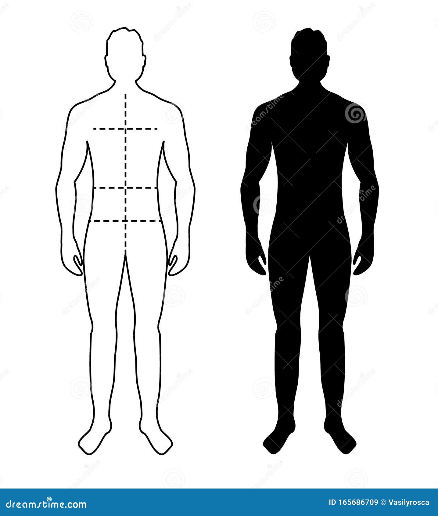 Man Anatomy Silhouette Size. Human Body Full Measure Male Figure Waist,  Chest Chart Template Stock Vector - Illustration of figure, shape: 165686709