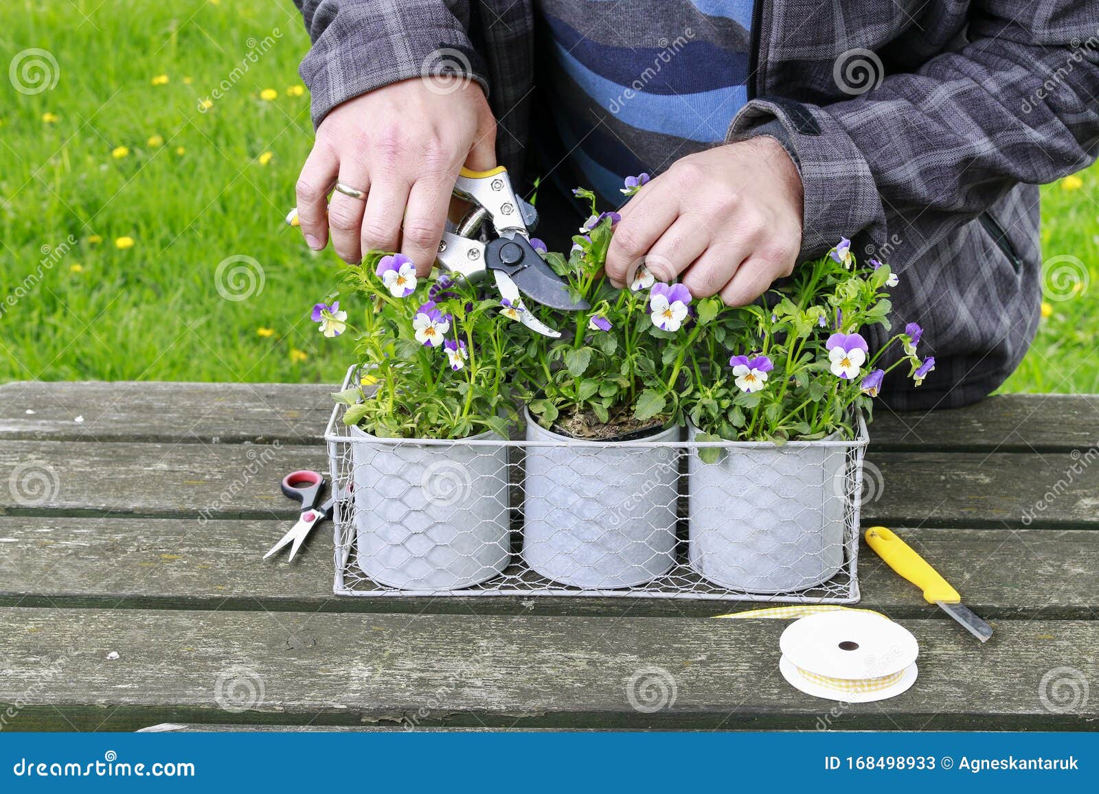 Man Arranging Flowers in Spring Garden Stock Image Image of arranging
