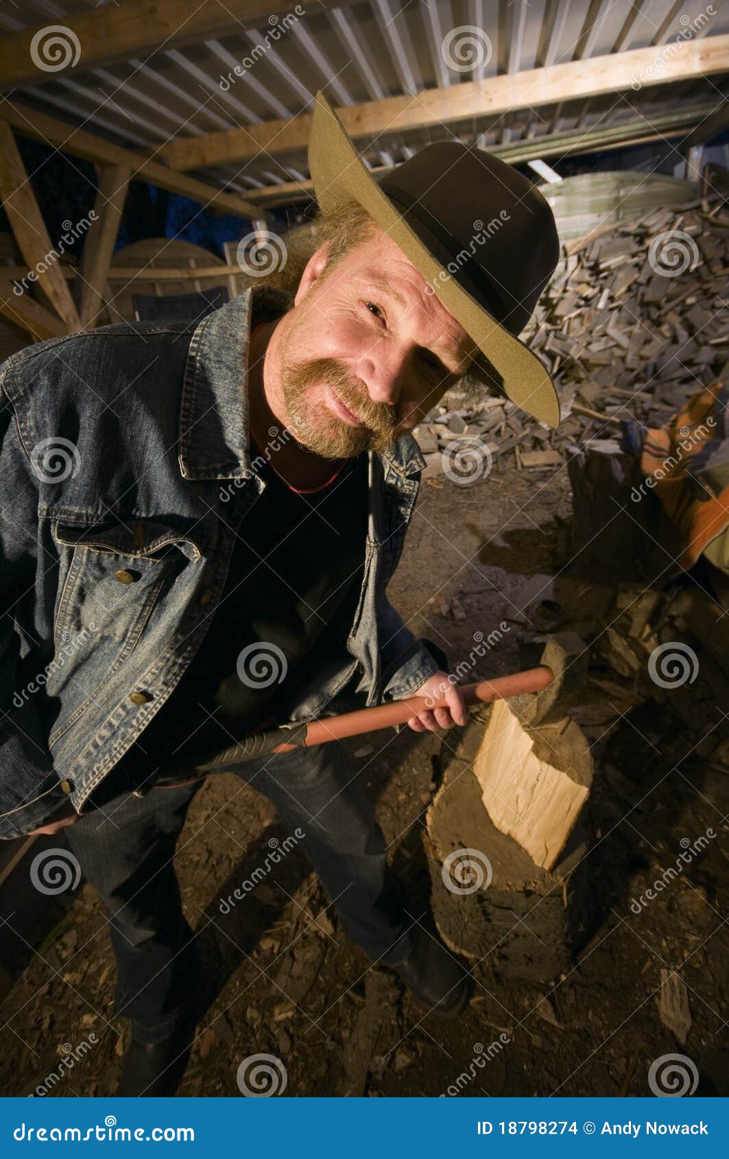 man with axe stock photo. image of logging, people, pine