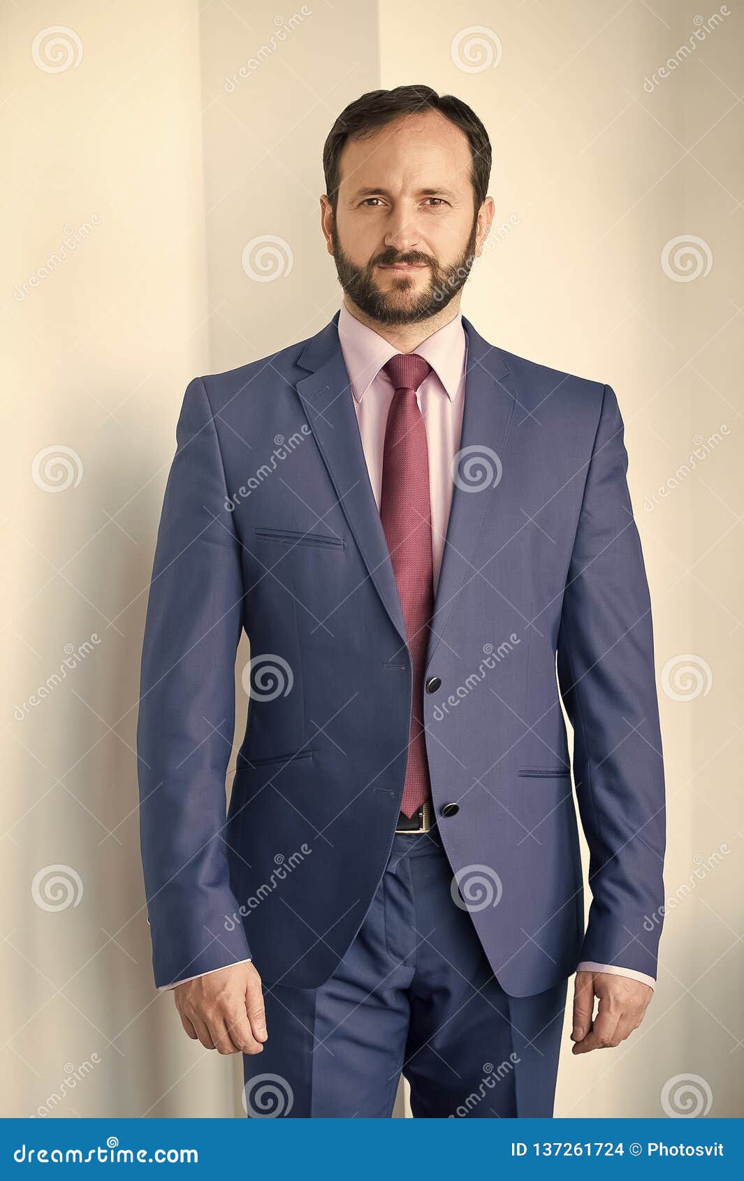 Man with Beard in Blue Formal Suit Stock Photo - Image of career ...