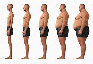 Body Mass Index Chart Royalty Free Stock Photography CartoonDealer 