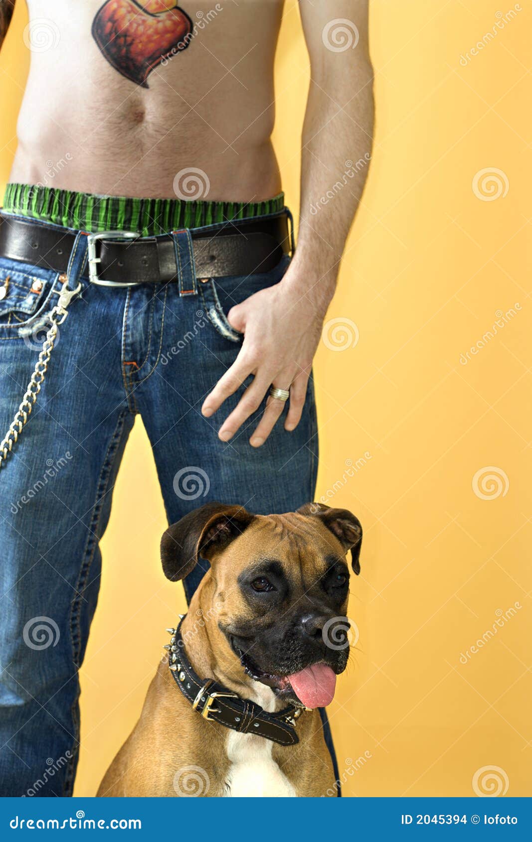 Man with Boxer dog. stock photo. Image of animal, portrait - 2045394