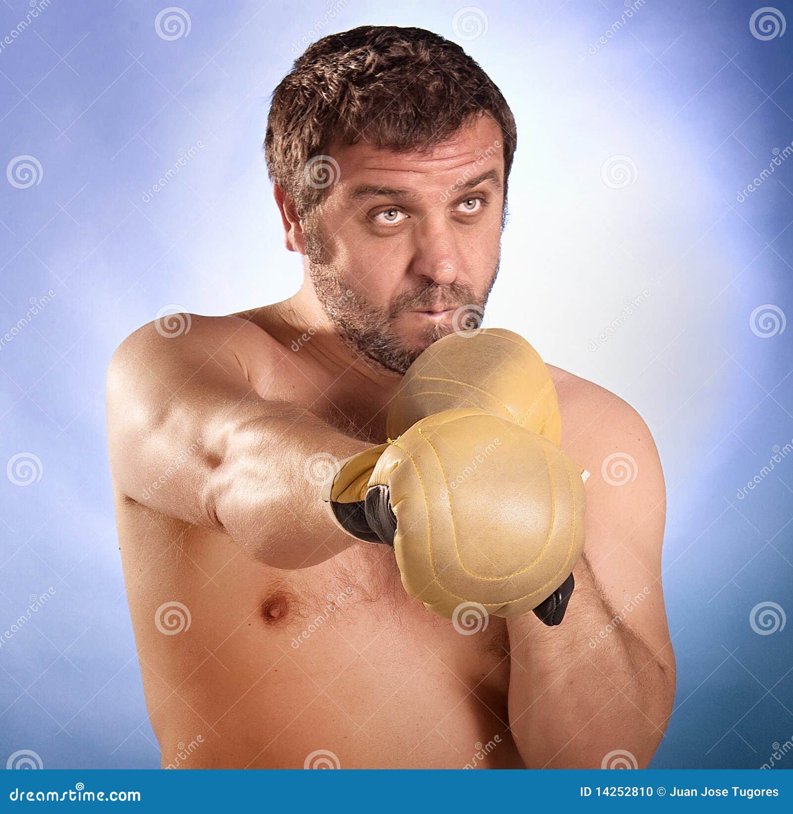 Man with boxing gloves stock photo. Image of glove, portrait 14252810