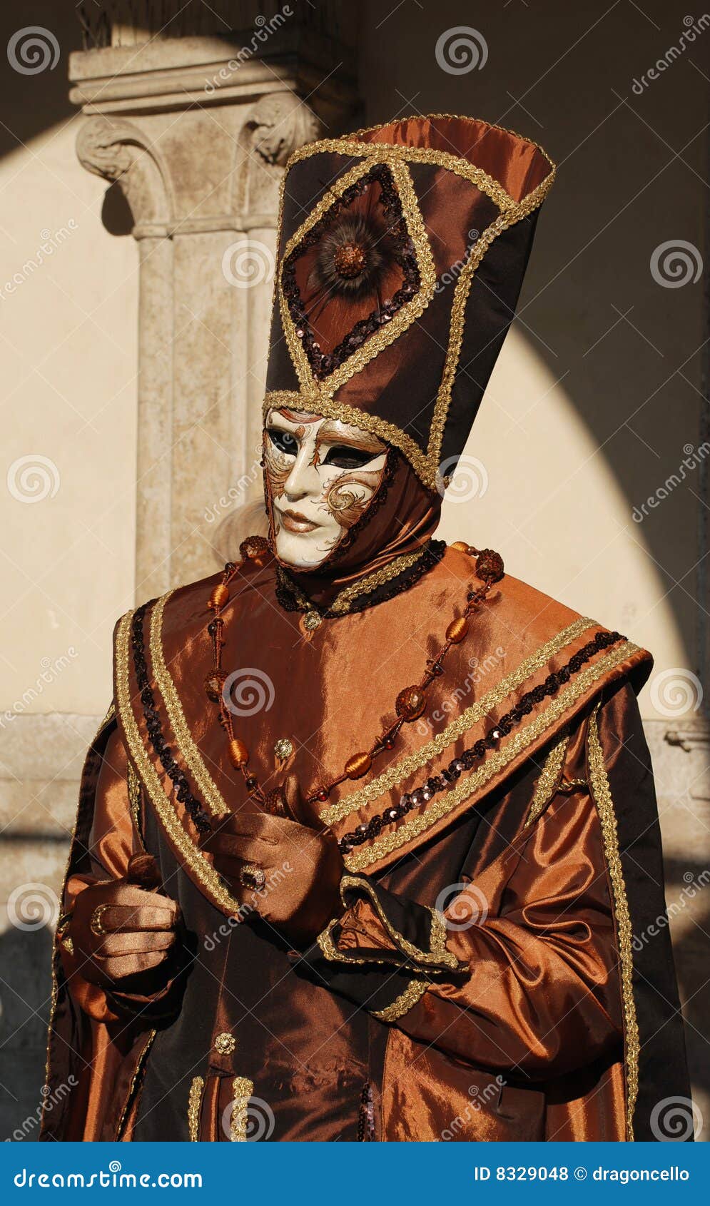Man in Bronze Carnival Costume Stock Photo Image of bronze, mask 8329048