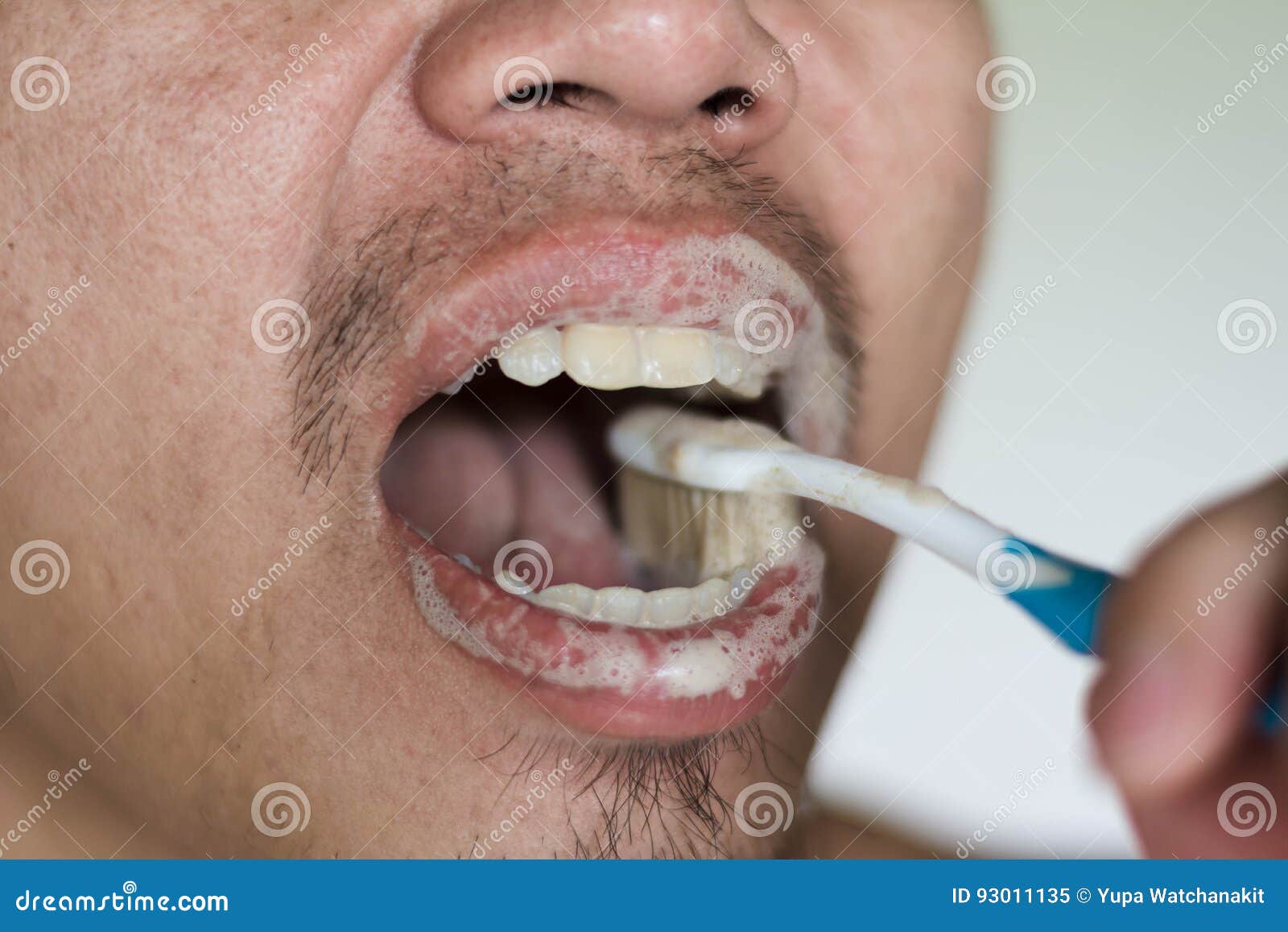 Man Brushing Teeth with Herb Toothpaste Stock Image Image of mouth