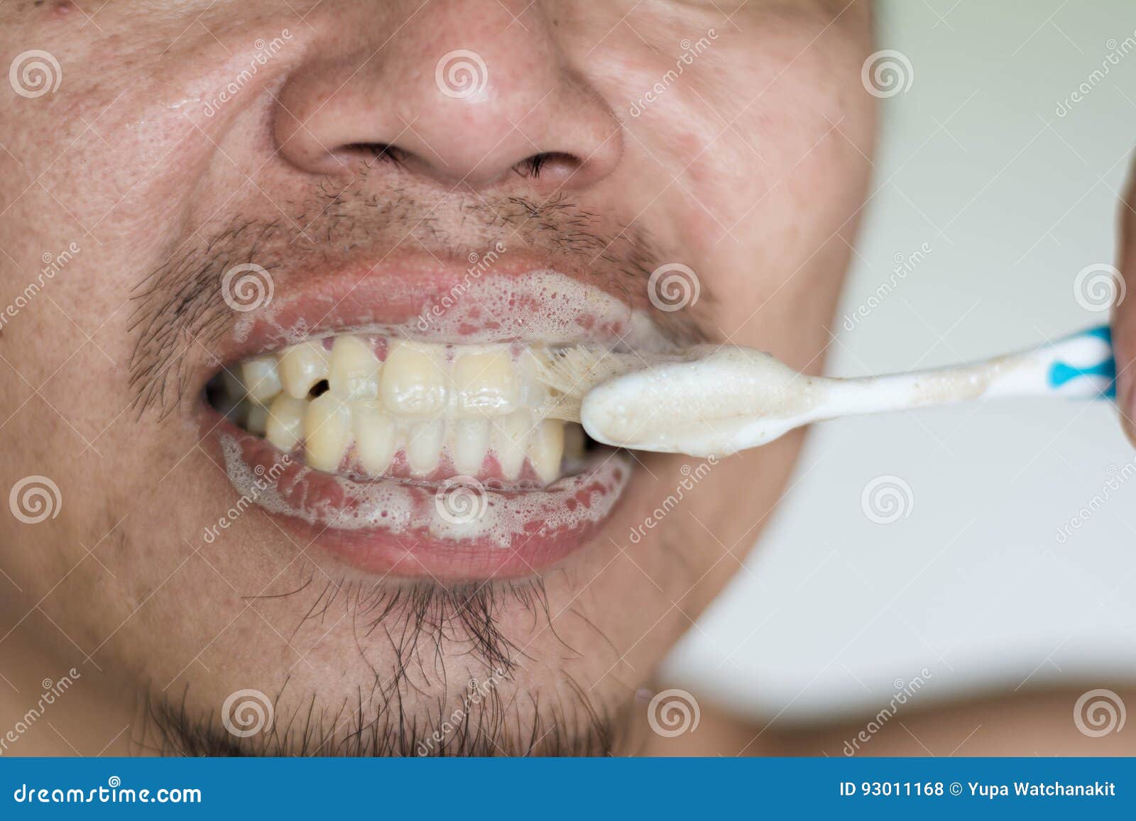Man Brushing Teeth with Herb Toothpaste Stock Photo Image of clean