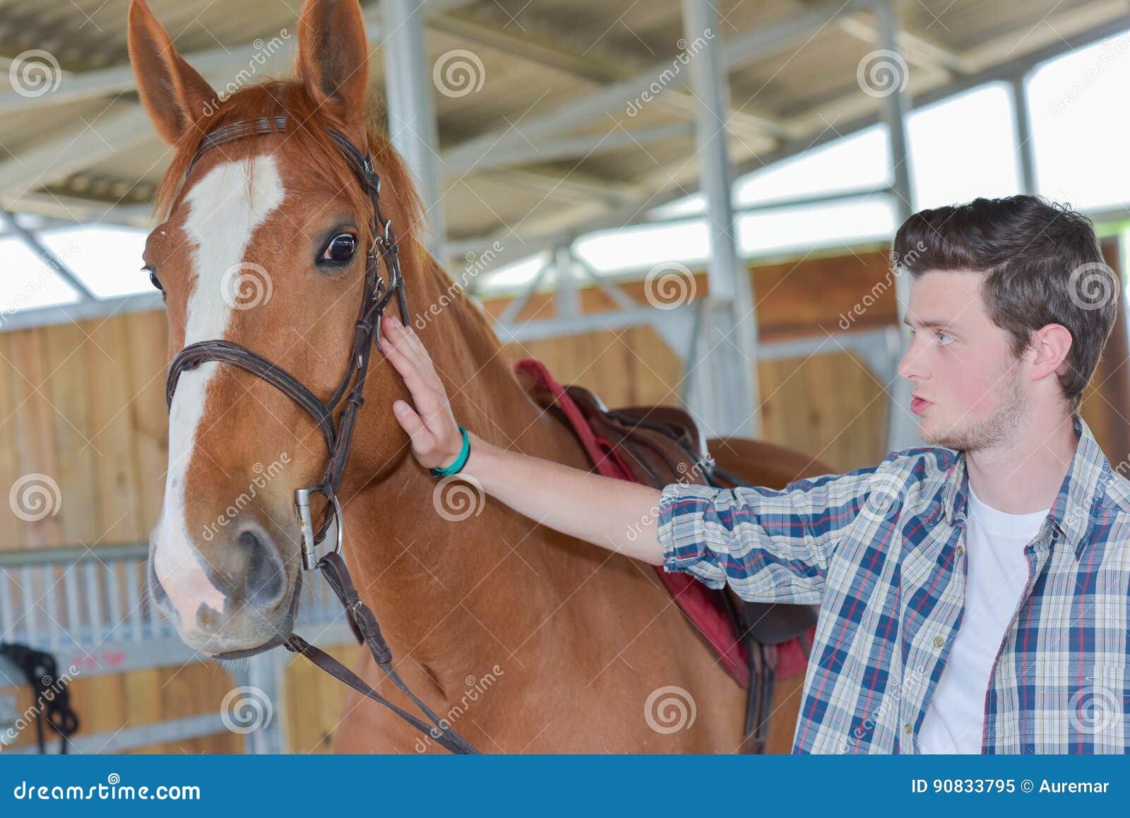 man calming horse with stroke