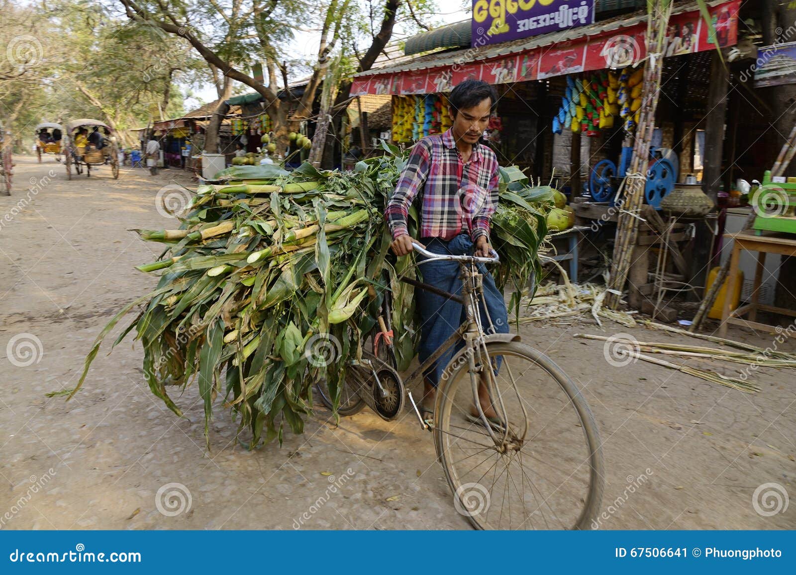 A Man Carrying Grass by Bike in Myanmar Editorial Photo Image of