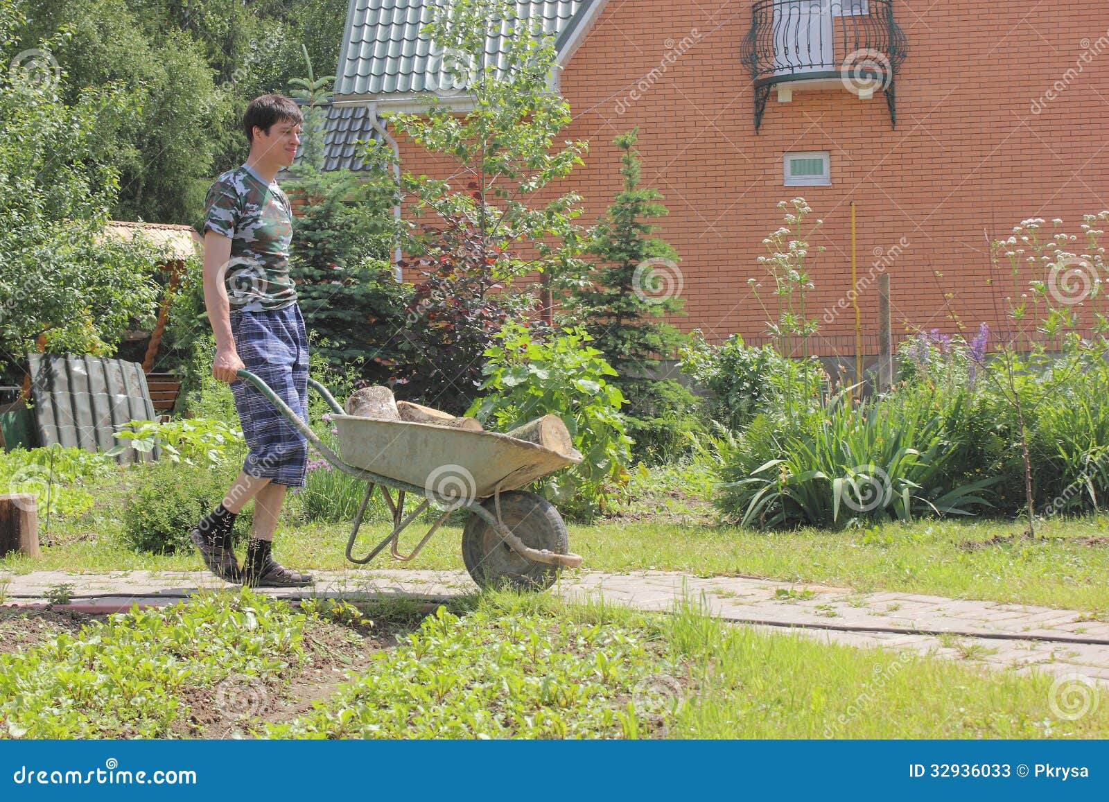 Man Carrying a Wheelbarrow in the Village Stock Image Image of