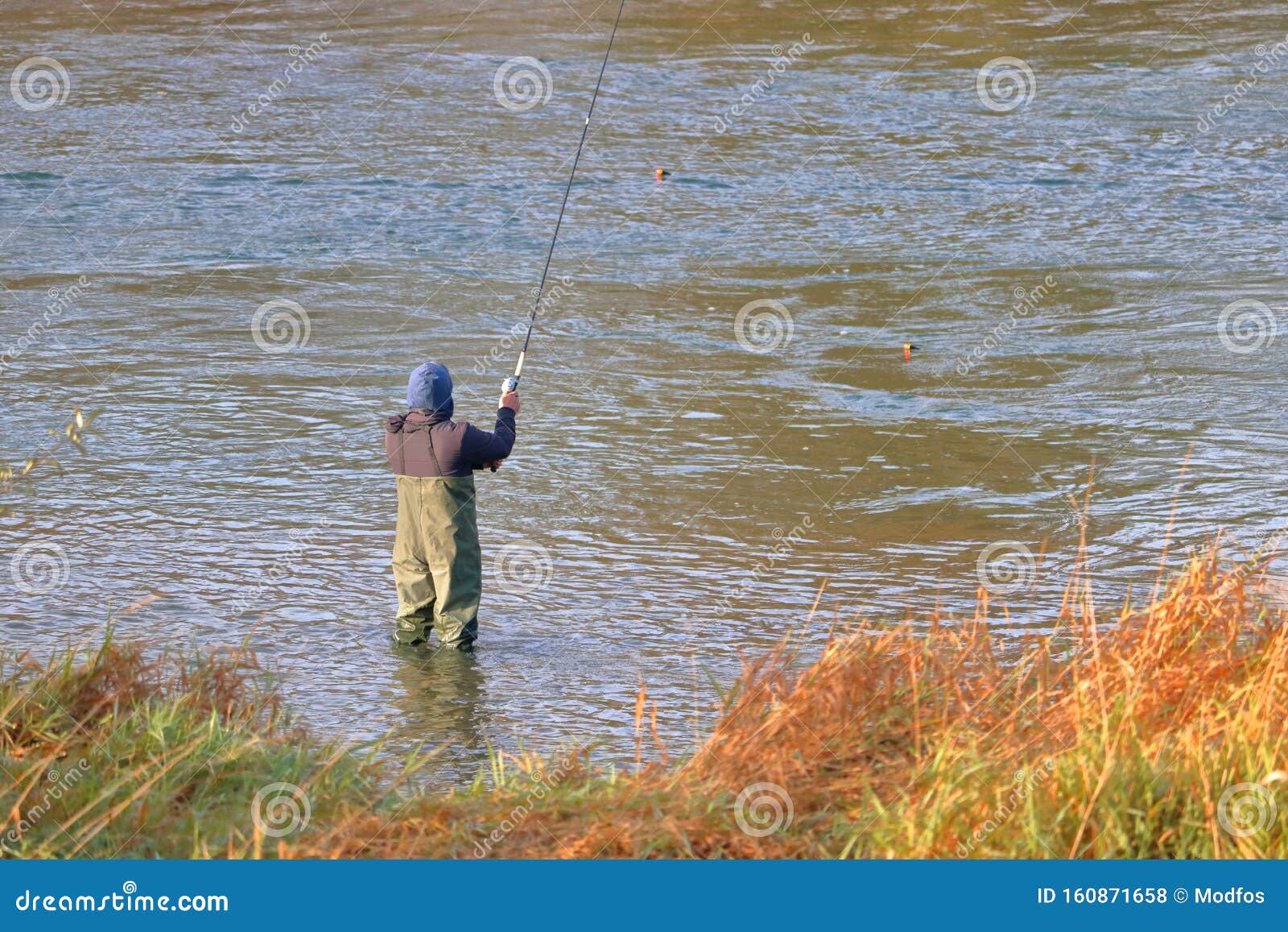 Man Casting Fishing Line Wears Hip-Waders Stock Photo - Image of grassy,  nature: 160871658