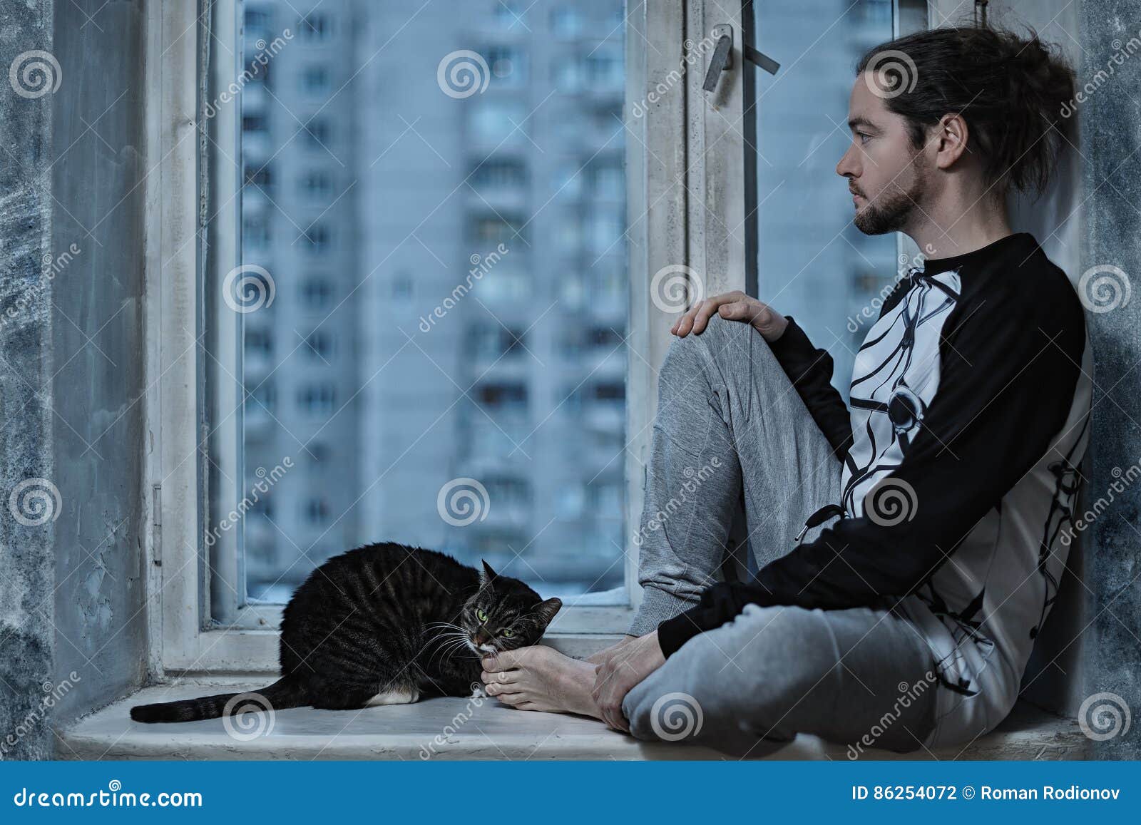 Man And Cat Sitting At The Window Stock Photo Image Of Animal Lying 86254072