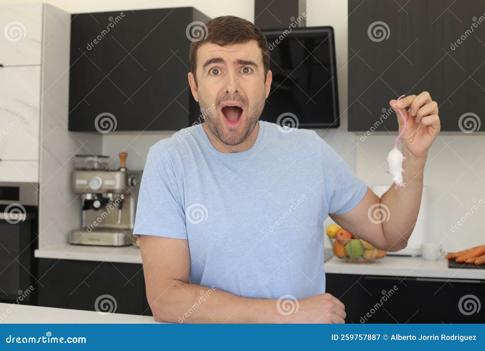 Man Catching a Mouse in His Kitchen Stock Image Image of animal