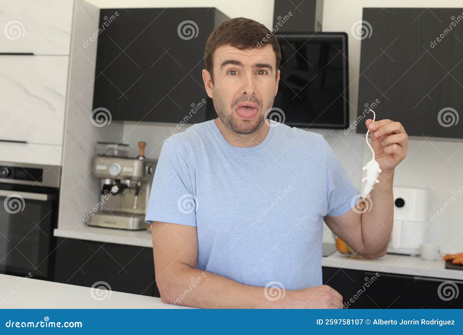 Man Catching a Mouse in His Kitchen Stock Image Image of damage