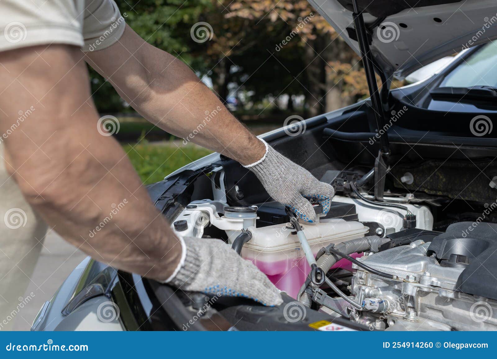 Man Check the Coolant Level in the Car Stock Photo Image of medium