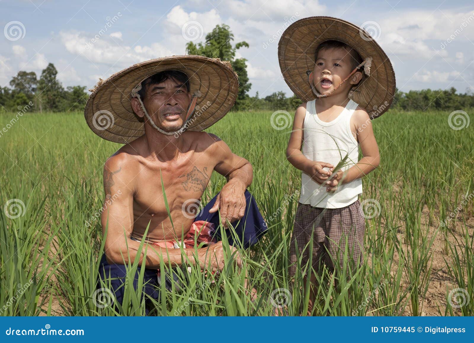 rice paddy hats for sale