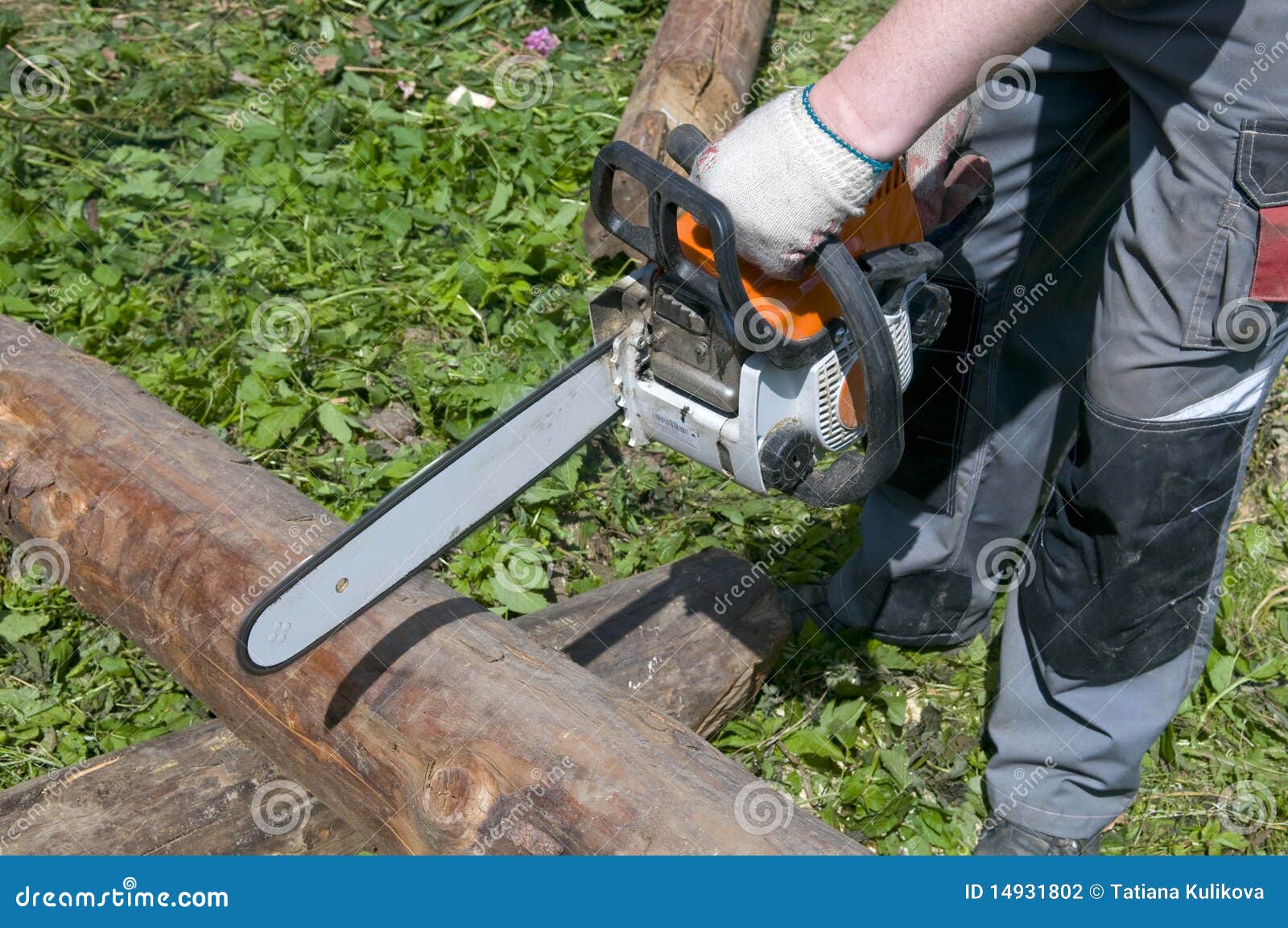 Man chops a fallen tree stock photo. Image of chainsaw 14931802