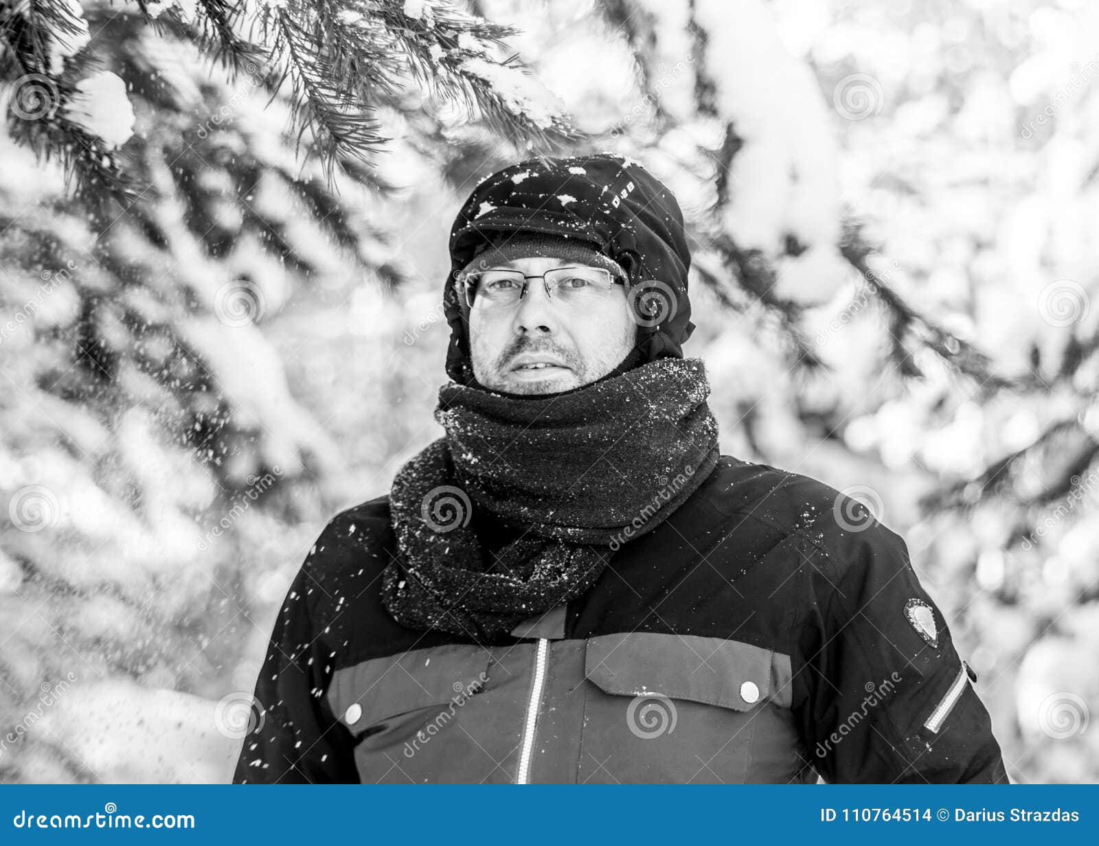 Man in Winter Posing while Snowing in Forest Stock Photo - Image of ...