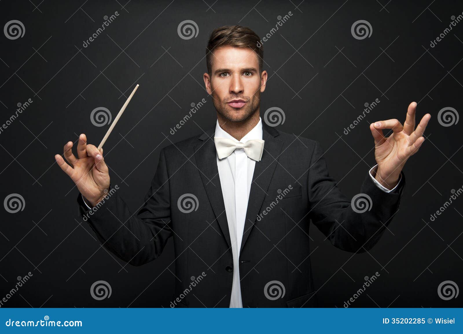 Man Conducting an Orchestra Stock Image Image of portrait, director