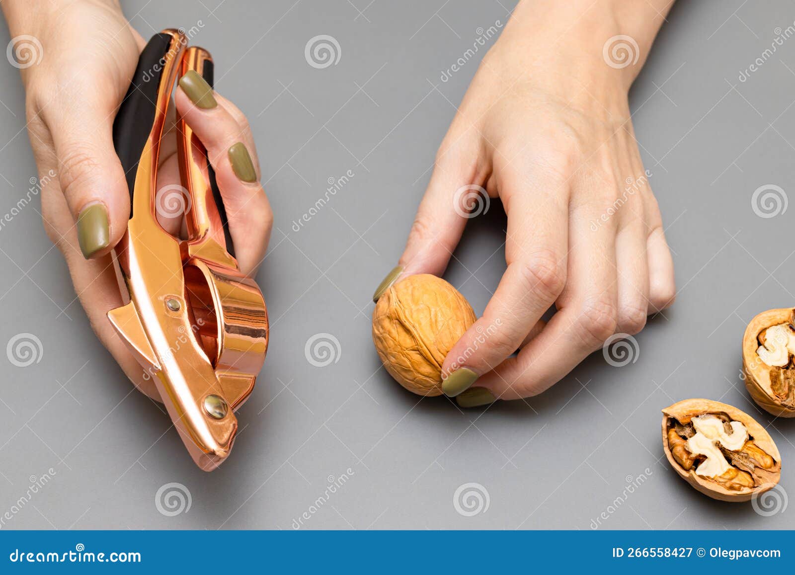 Man Cracking a Walnut with a Nutcracker Stock Image Image of woman