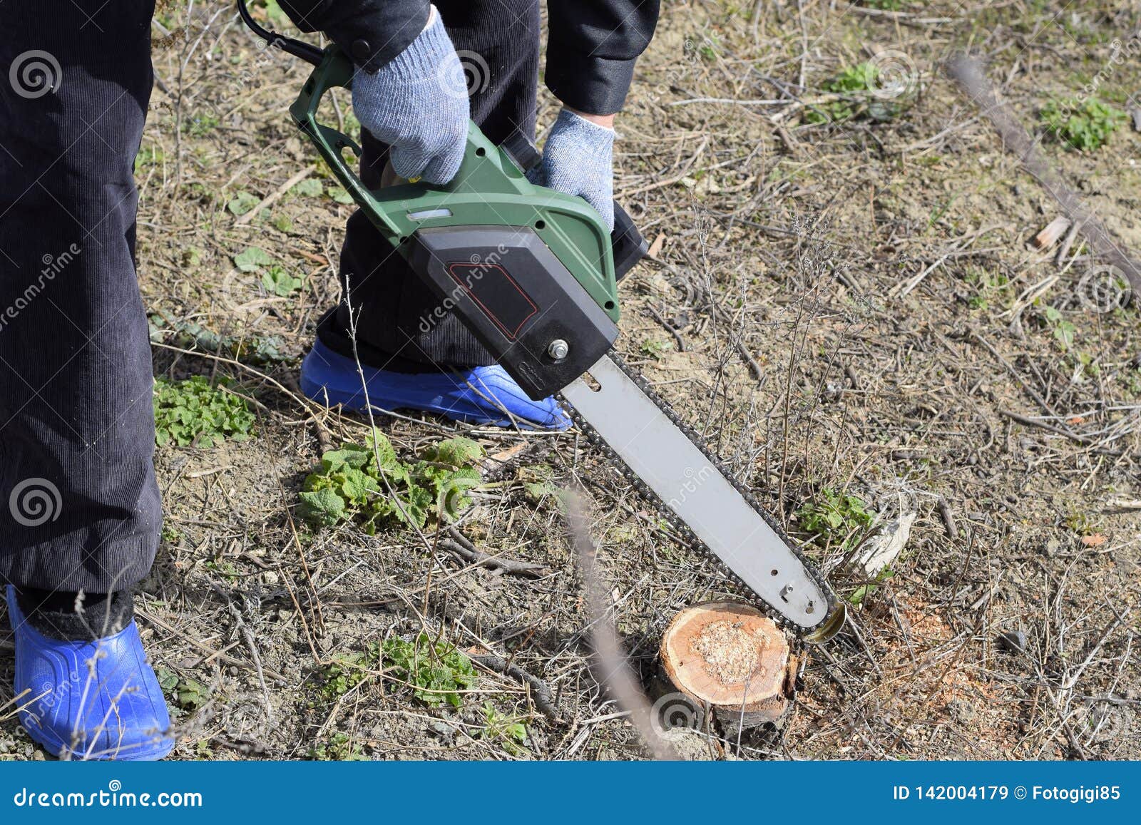Man Cut Down an Electric Saw. the Stump of Saw Cut Branches Stock Image