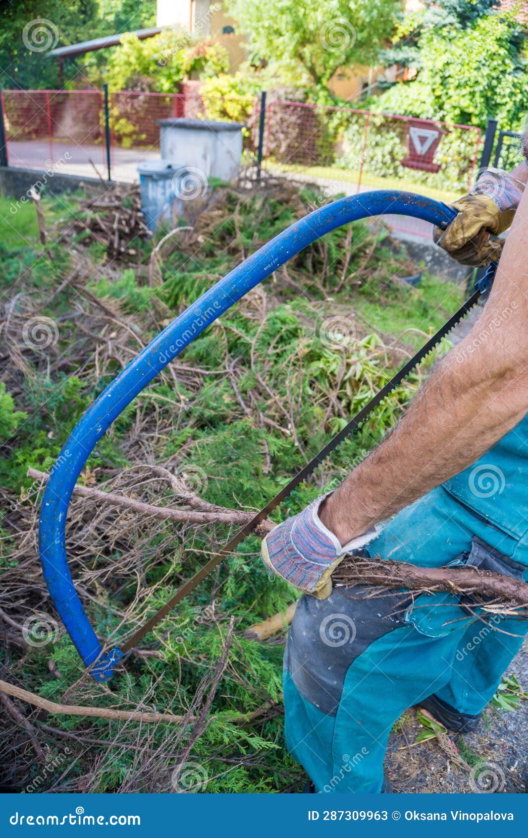 A Man Cuts a Tree Trunk with a Hand Saw Stock Image Image of firewood, people 287309963