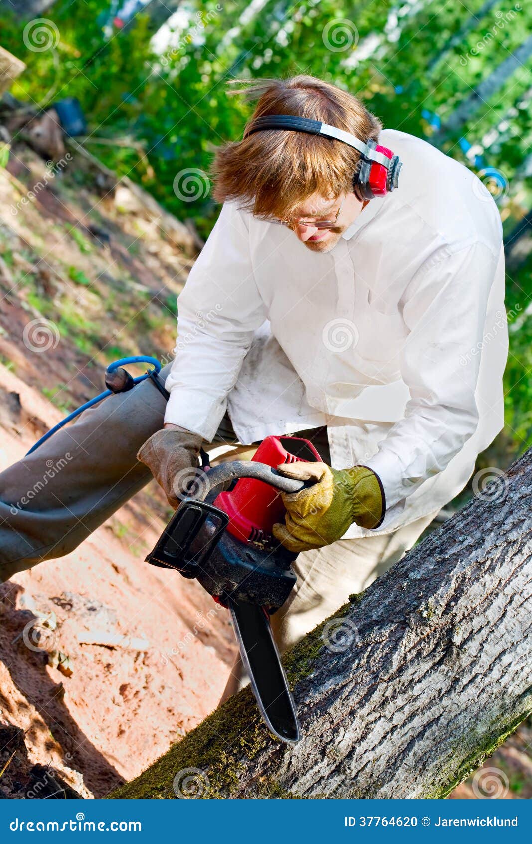 Man cutting tree with chainsaw