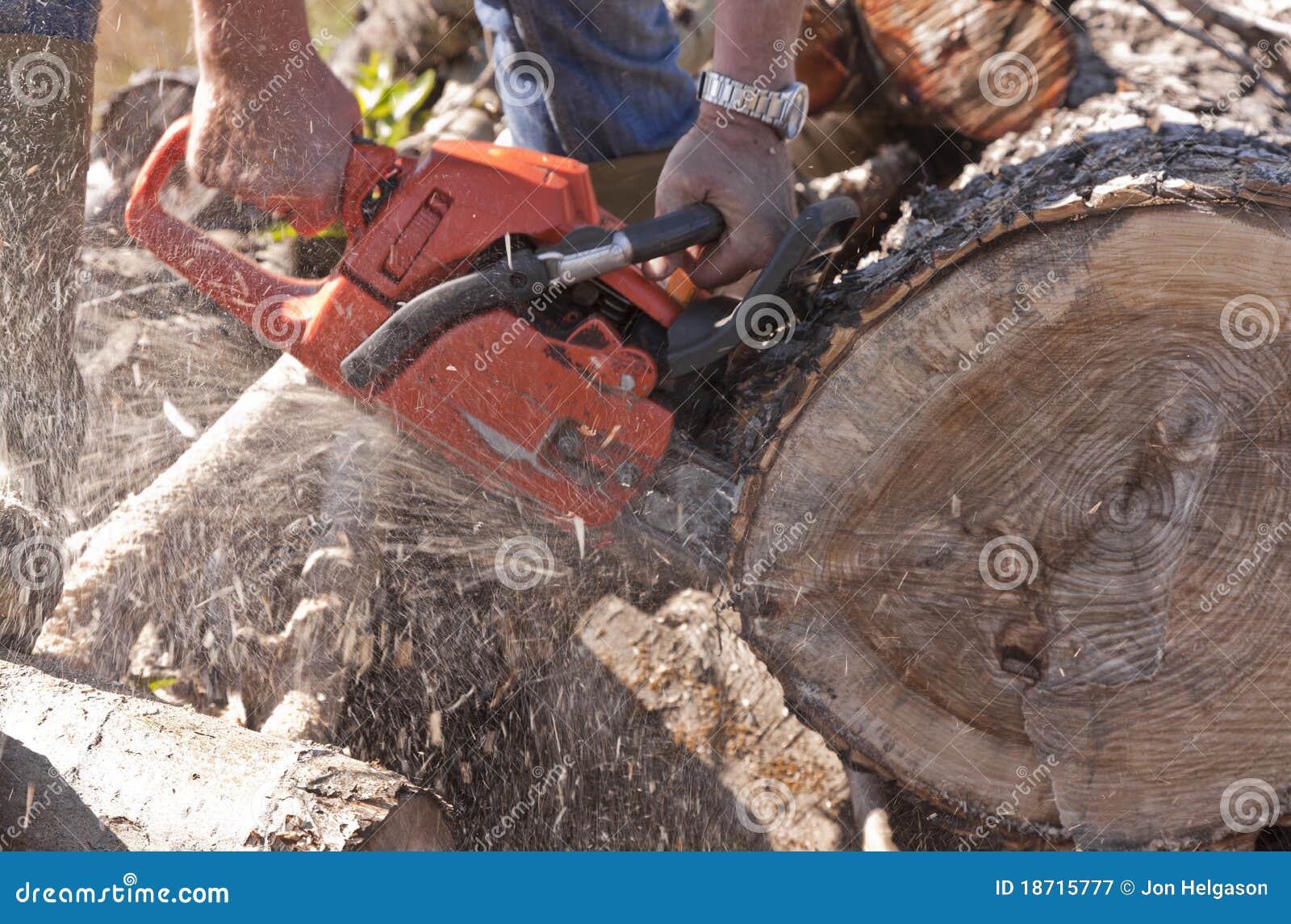 Man Cutting Wood with a Chainsaw Stock Image Image of woodcutter