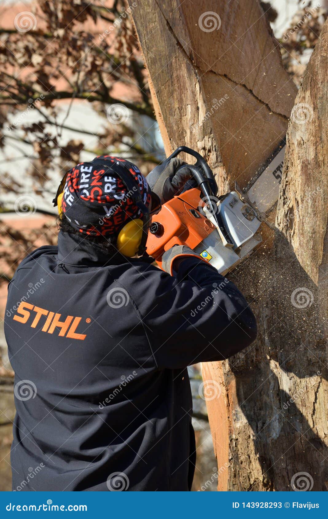 180 Stihl Chainsaw Stock Photos - Free & Royalty-Free Stock Photos from  Dreamstime