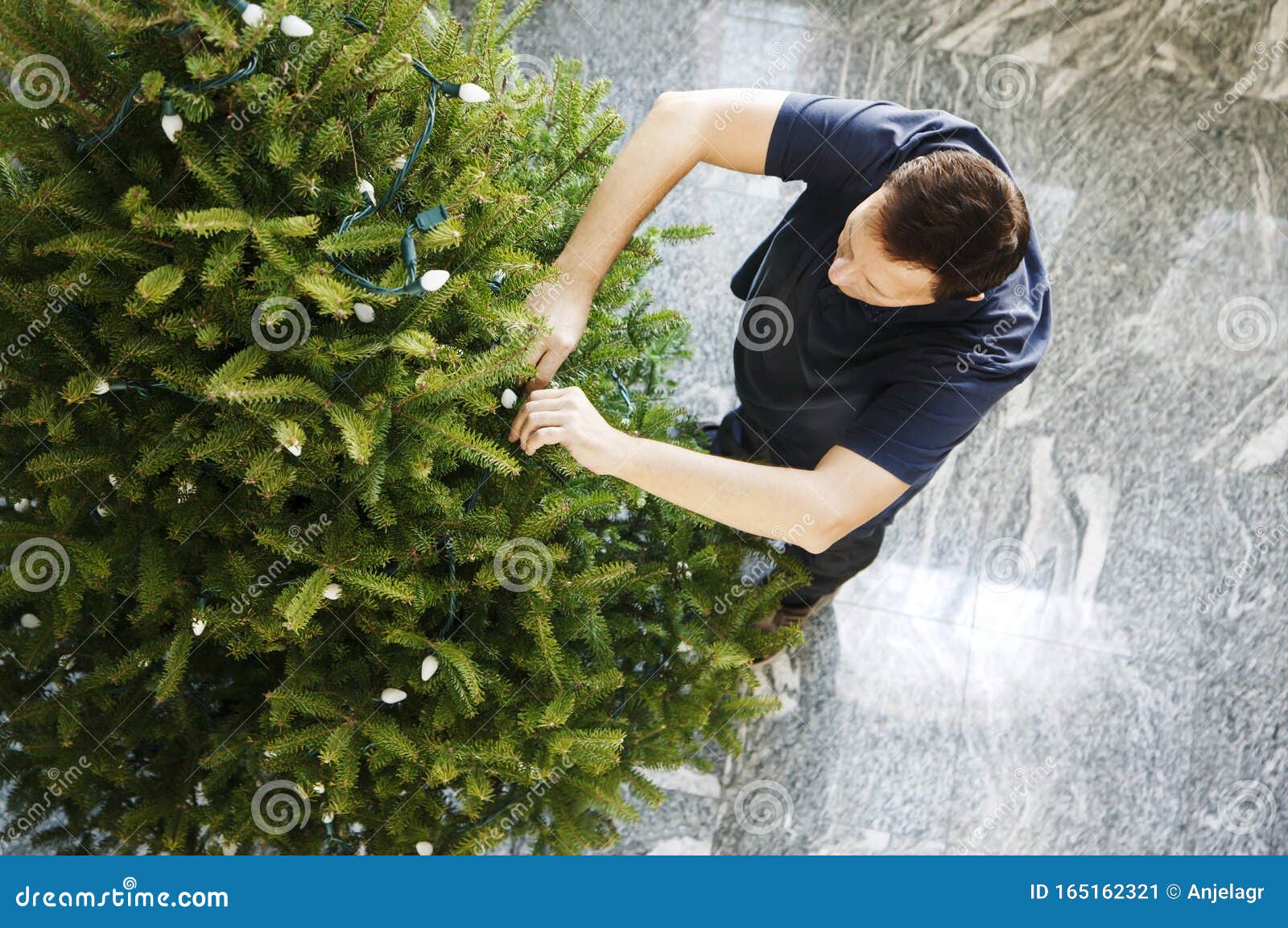 Man Decorating Christmas Tree Stock Image Image of christmas, indoor