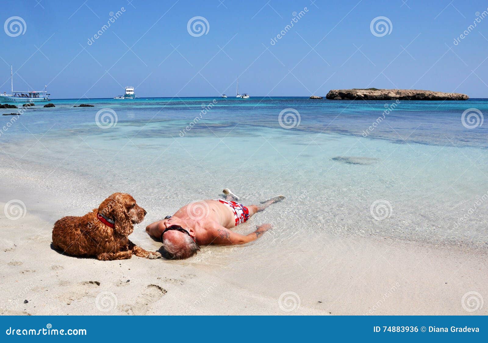 adult dogs with relaxing vacation