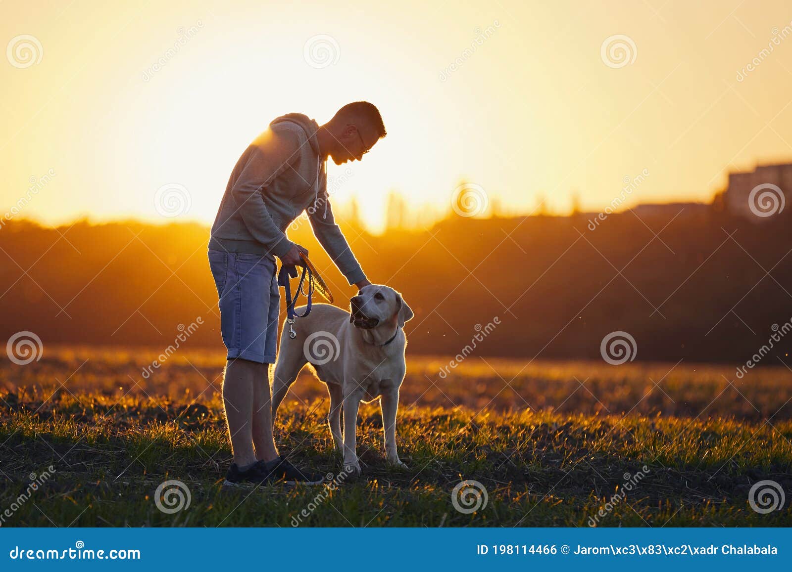 Man with Dog at Beautiful Sunset Stock Photo - Image of embracing