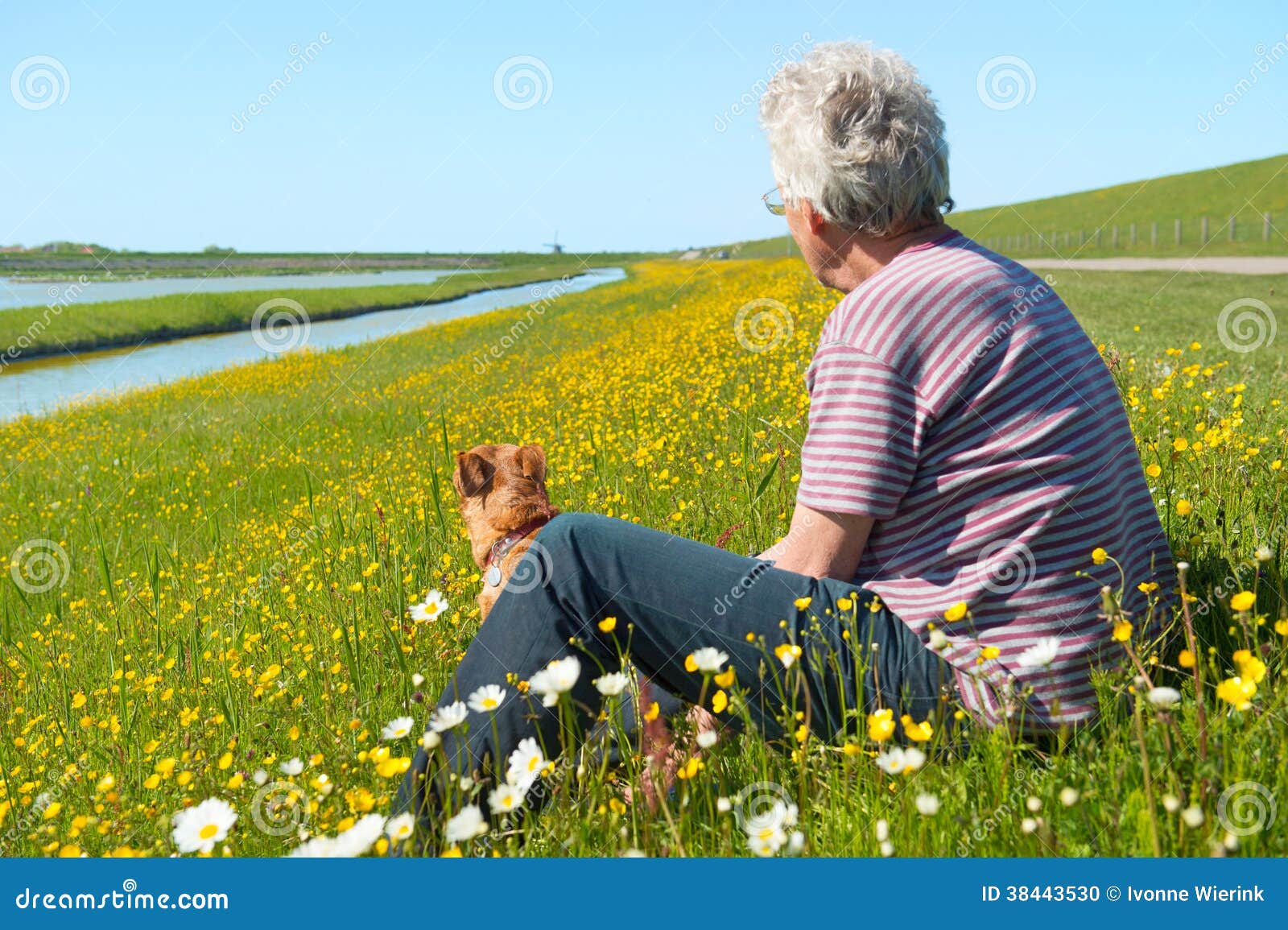 man and dog on dutch wadden island texel