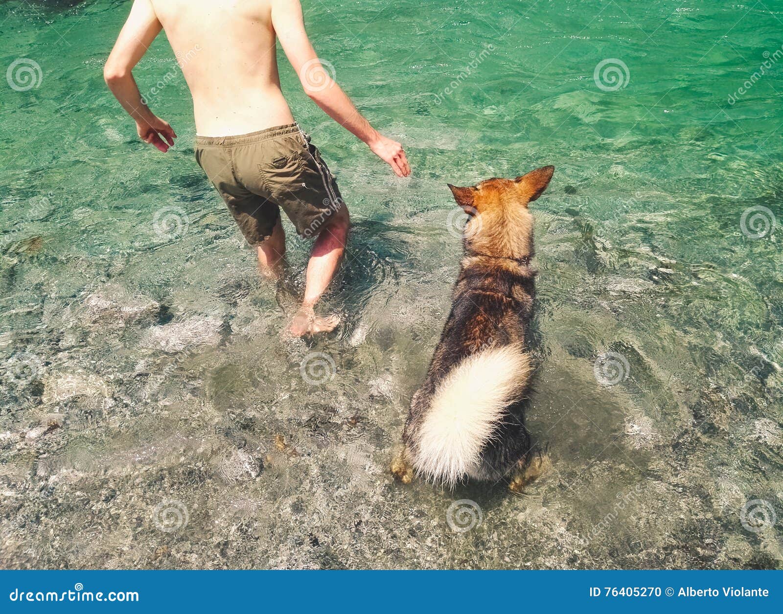 Man and Dog Entering into the Waters Stock Photo Image of family