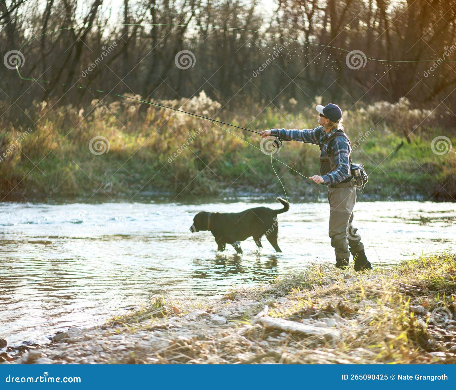 Man and Dog Fly Fishing Casting Stock Image - Image of trail, water:  265090425