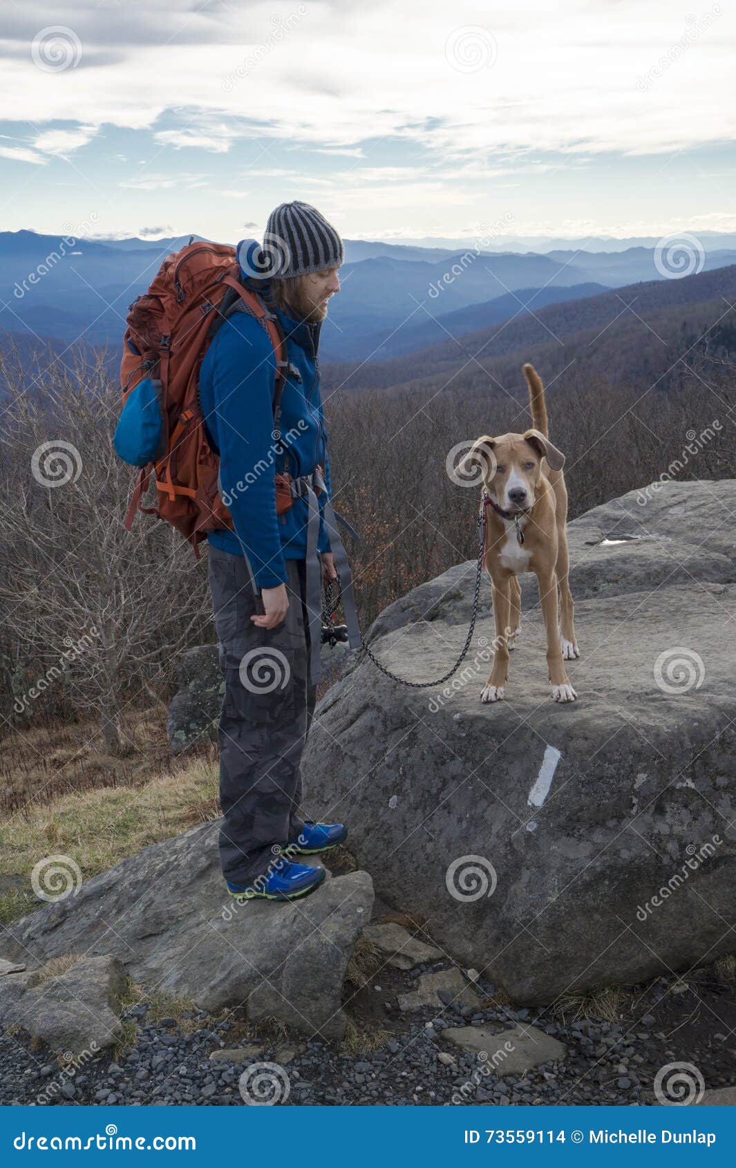 Man and Dog Mountain Hiking with Backpack Stock Photo Image of hike