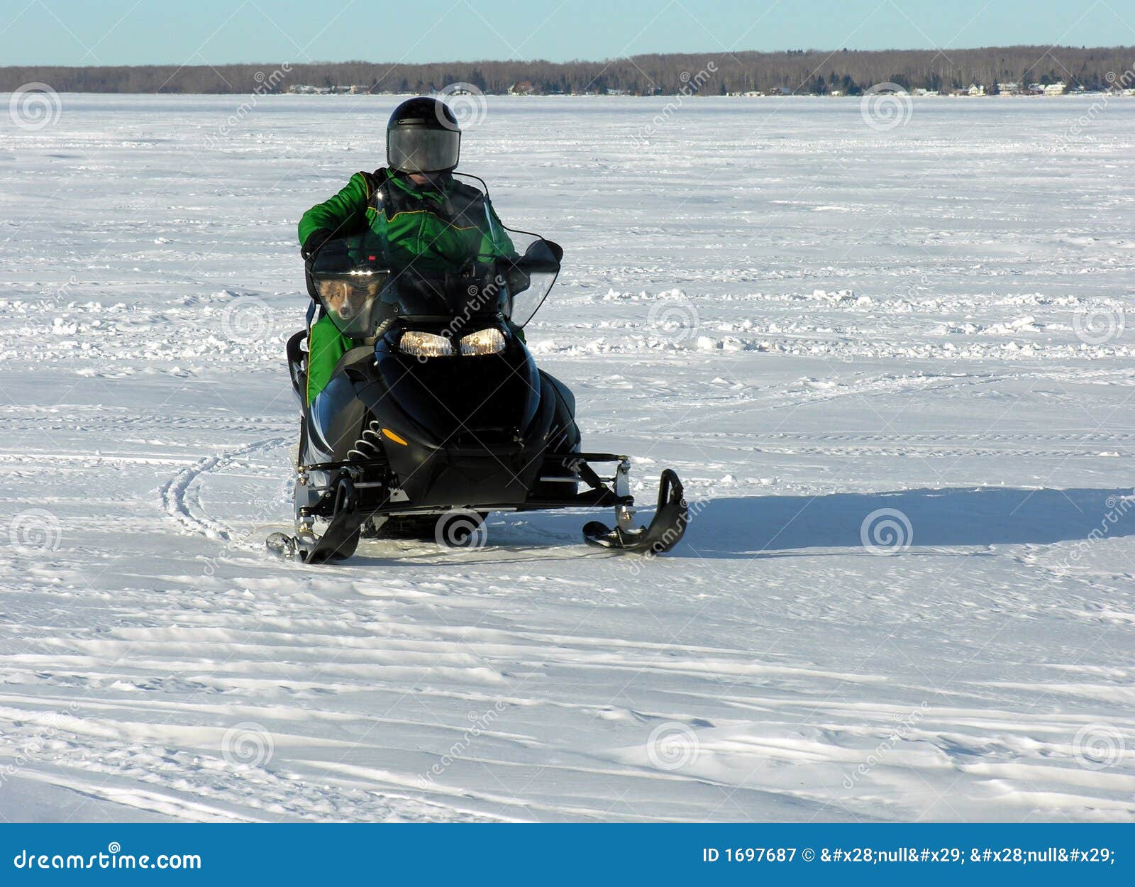 Man and Dog on Snowmobile stock image. Image of rider 1697687