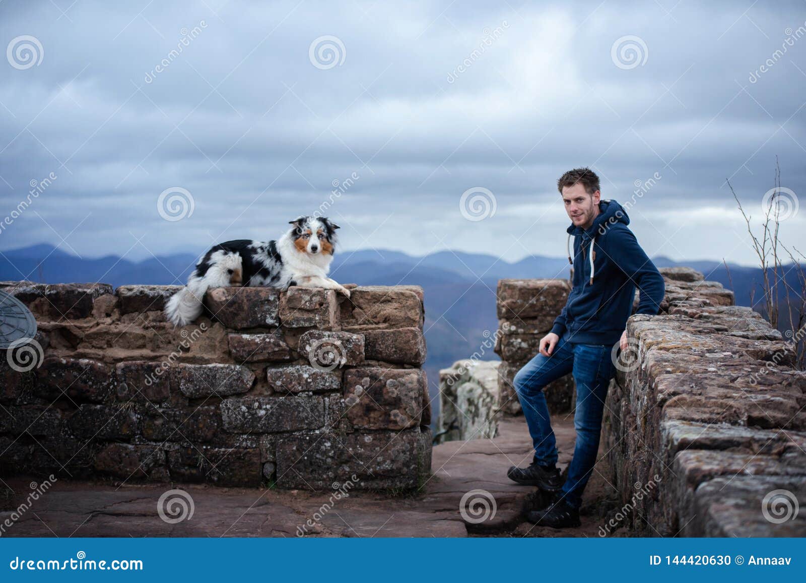 Man and Dog Travel . Pet and His Friend in Nature. Australian Shepherd and Its Owner Stock Photo - Image happy, entrance: 144420630