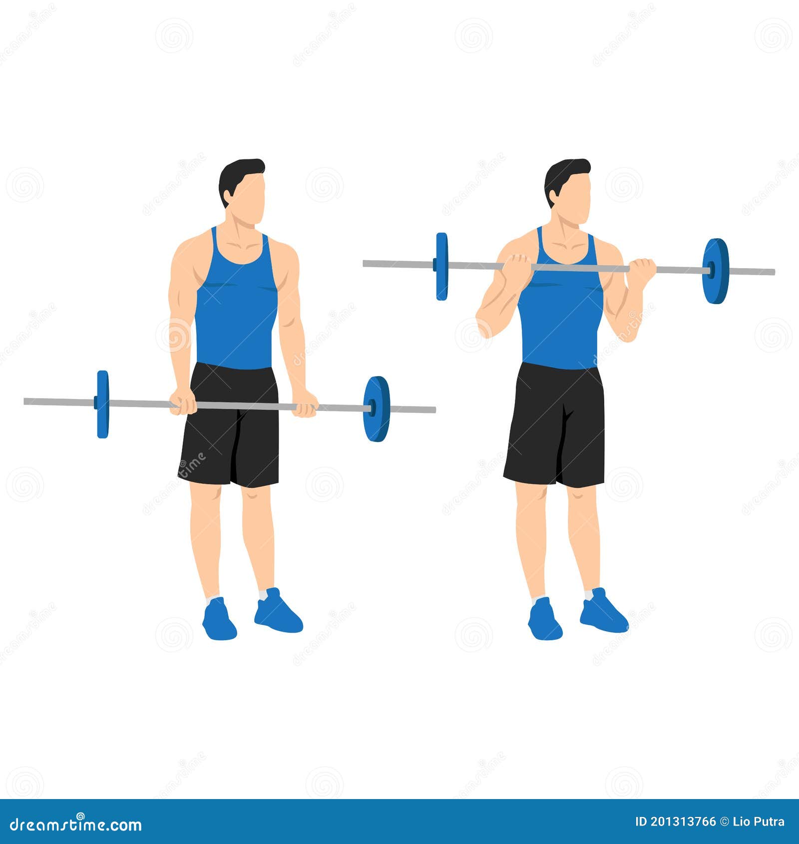 Man Doing Barbell Curls Exercise. Standing Bicep Curl.Arm Workout