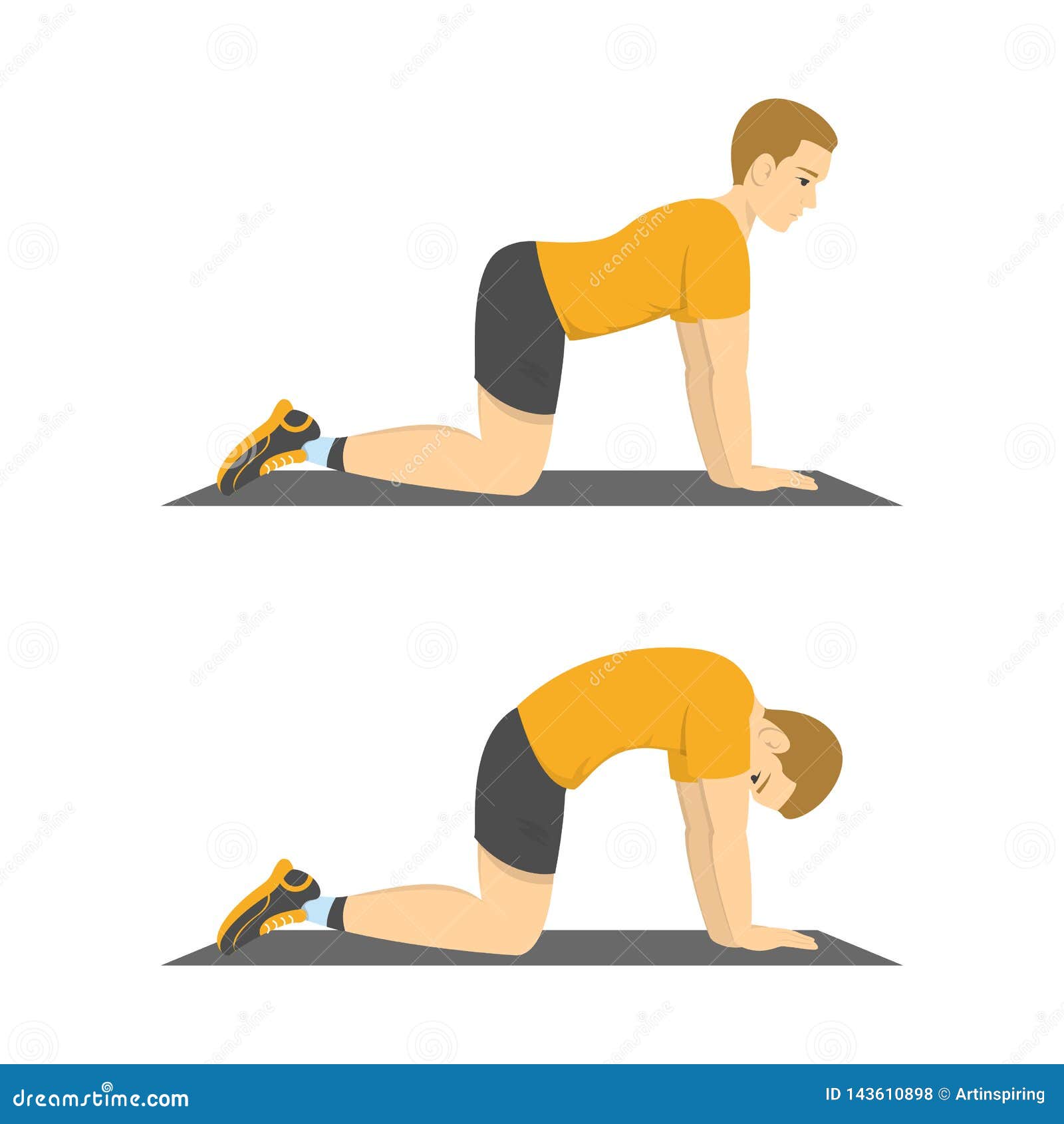 Man Doing Cat Cow Exercise. Back Stretch Stock Vector ...