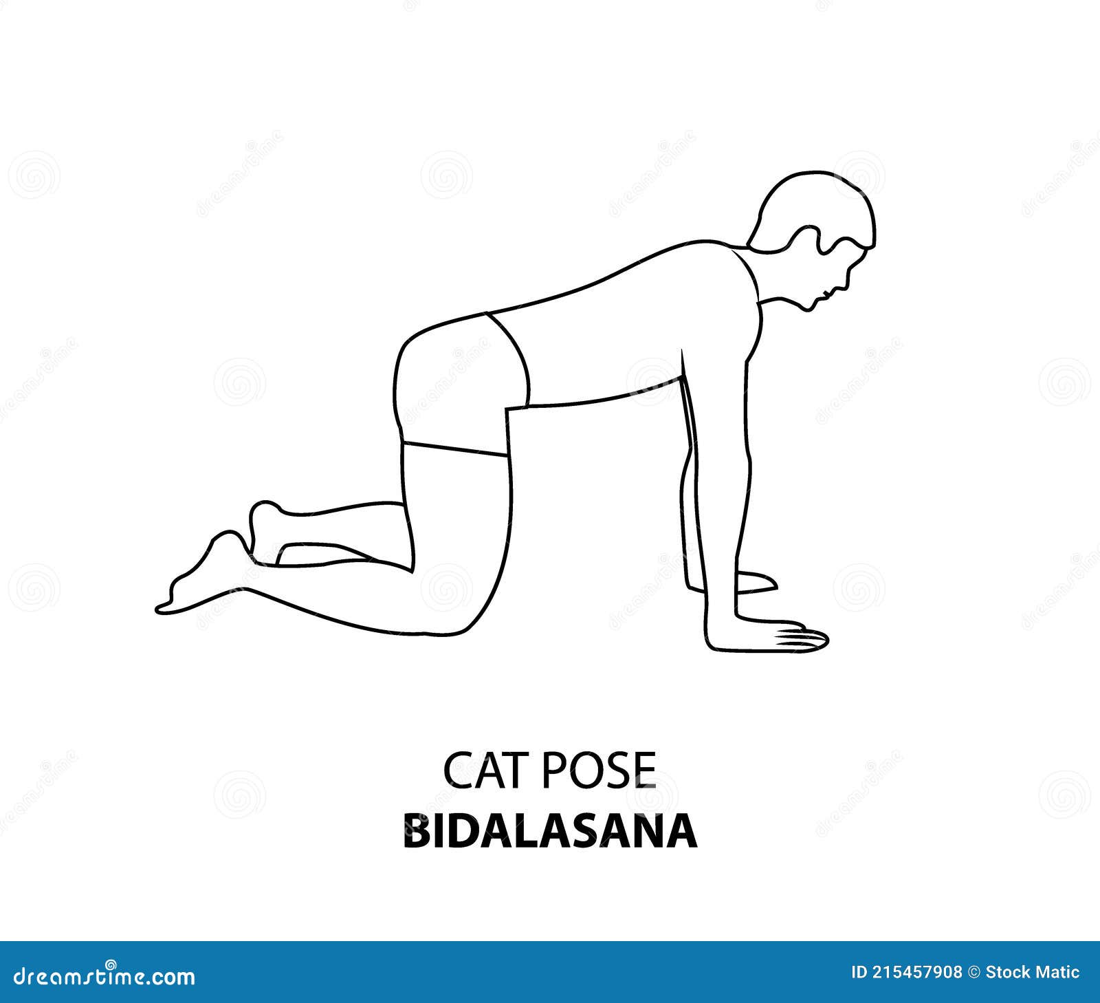 man doing yoga cat pose or bidalasana line