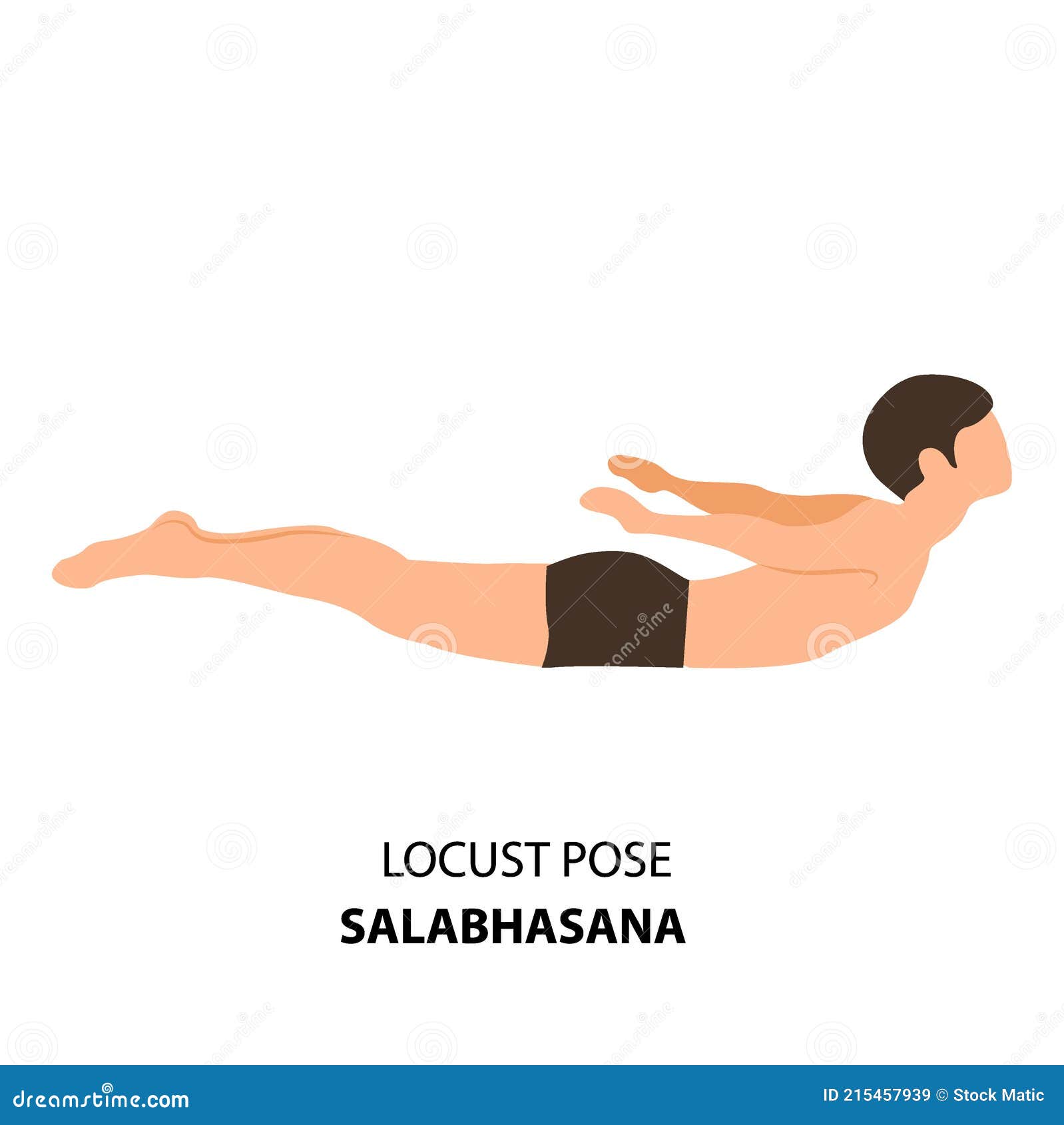 Locust - Salabhasana Yoga pose. Young woman practicing yoga exercise. Woman  workout fitness, aerobic and exercises. Vector Illustration. Stock Vector |  Adobe Stock