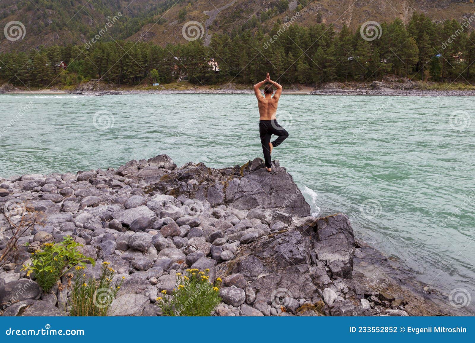 man doing yoga river bank tree pose %E0%A4%B5%E0%A5%83%E0%A4%95%E0%A5%8D%E0%A4%B7 original hindi word balance standing one leg 233552852