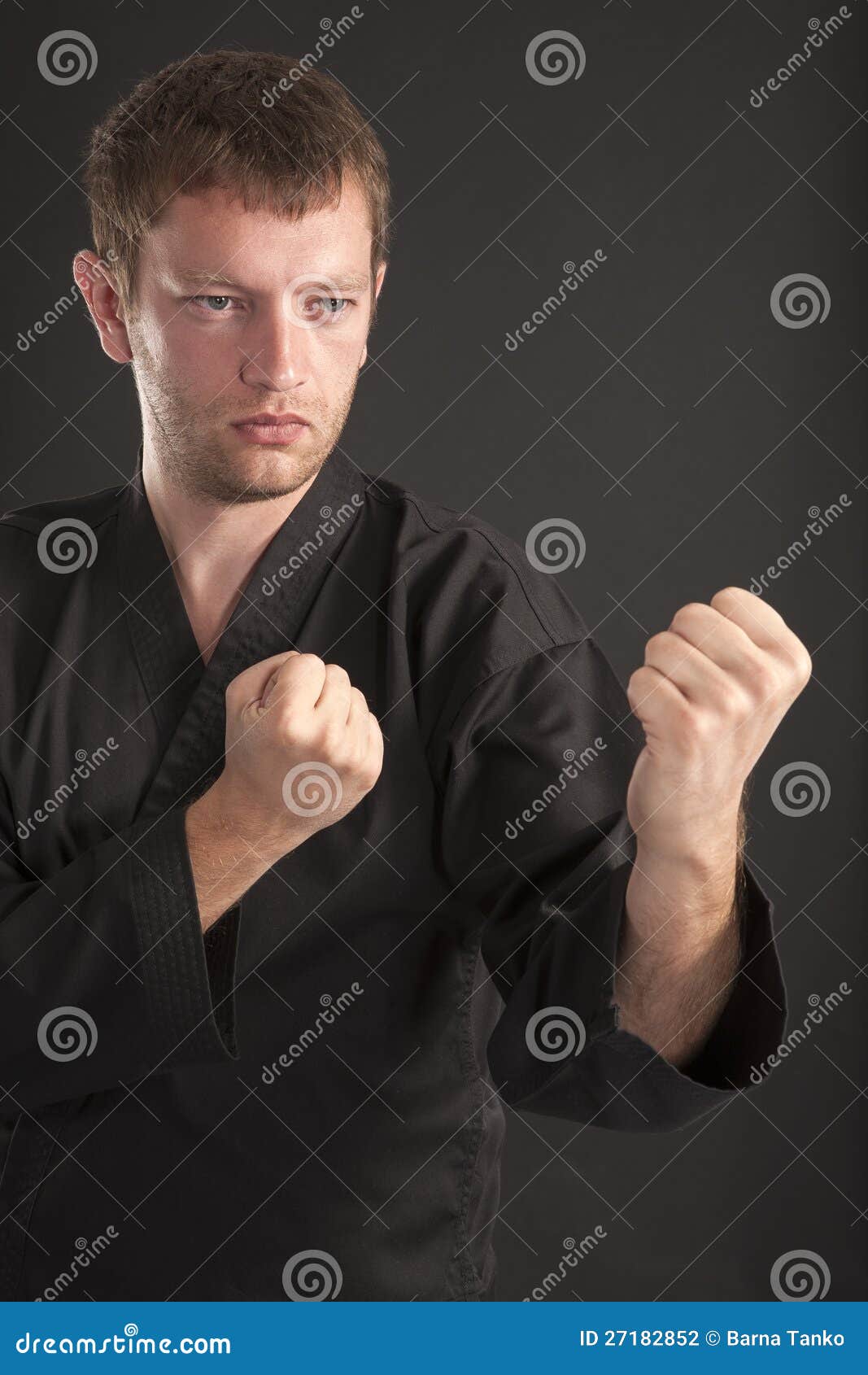 Man Exercising Martial Arts Stock Photo Image of exercise, arts 27182852
