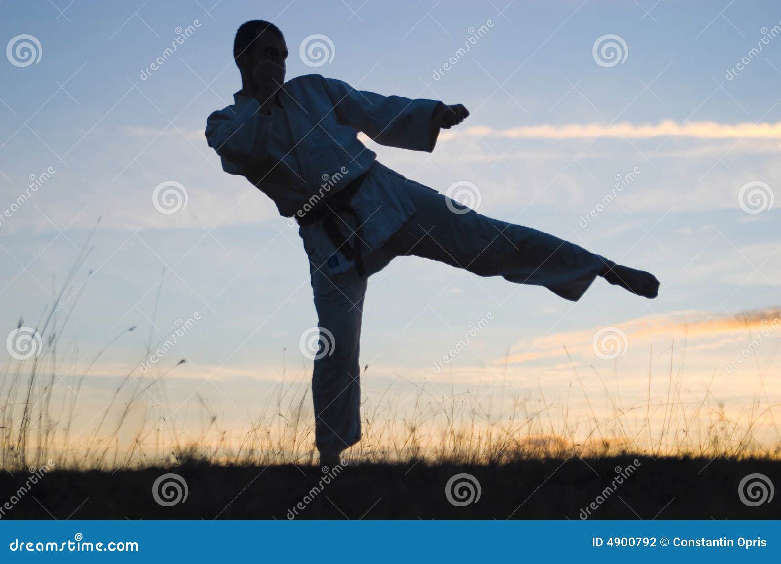 Man exercising outdoors stock photo. Image of karate, nature - 4900792