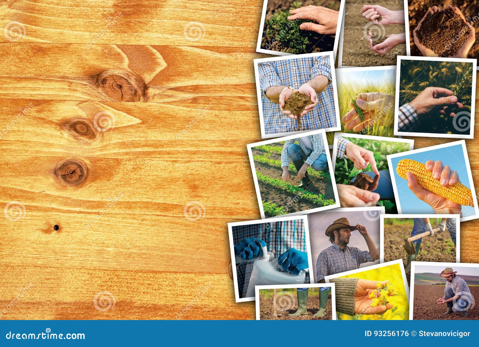 man in farming and agriculture, photo collage with copy space