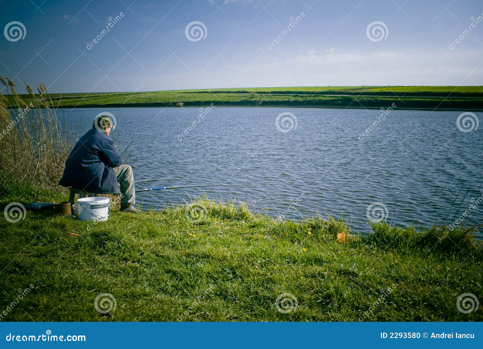 1,787 Needle Fishing Stock Photos - Free & Royalty-Free Stock Photos from  Dreamstime