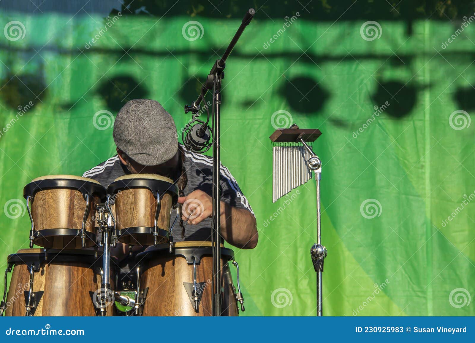 Man with Flat Cap Playing Wooden Caribbean Bongo Drums with Mircophone ...