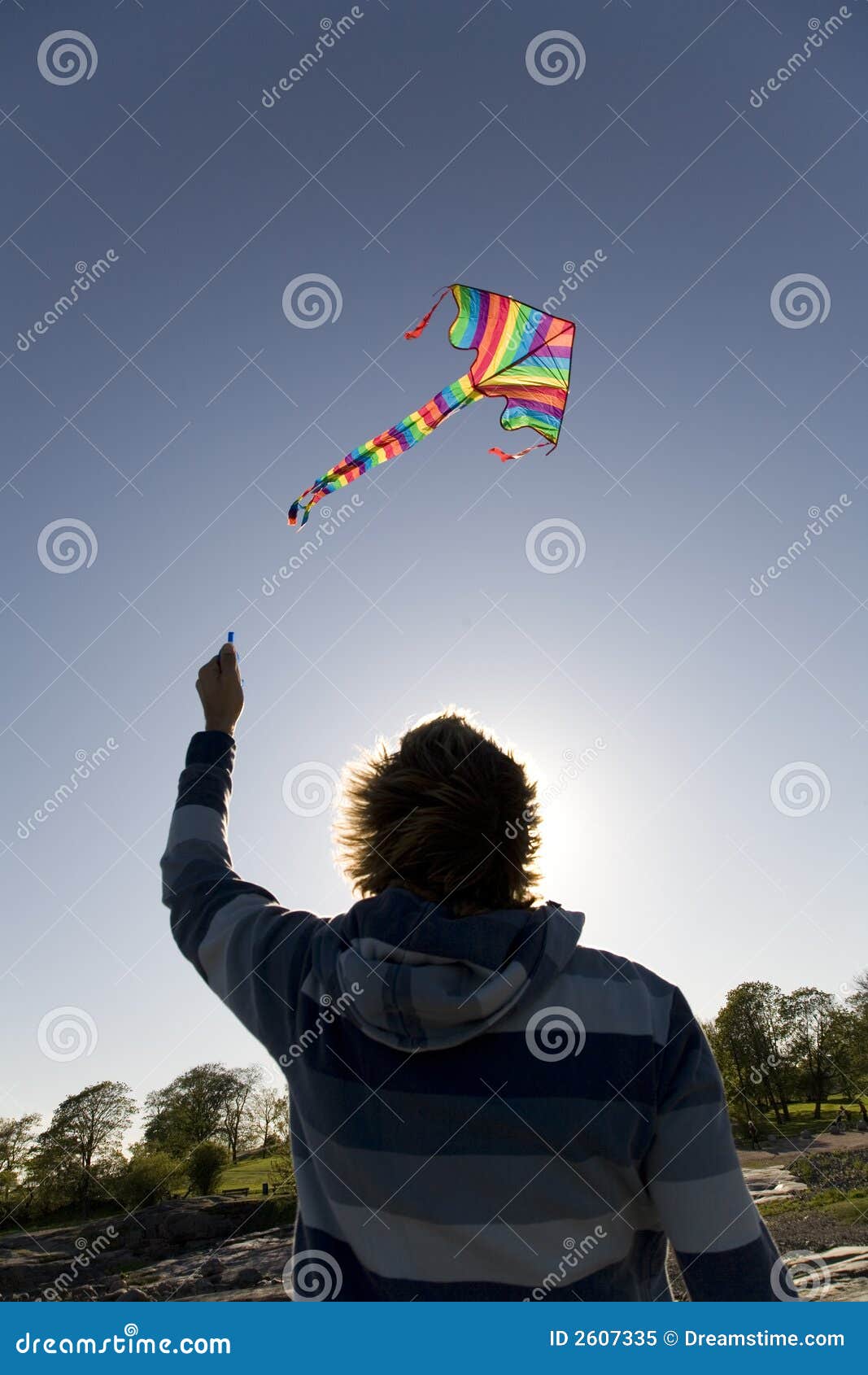 Man flying a kite stock image. Image of caucasian, playful 2607335