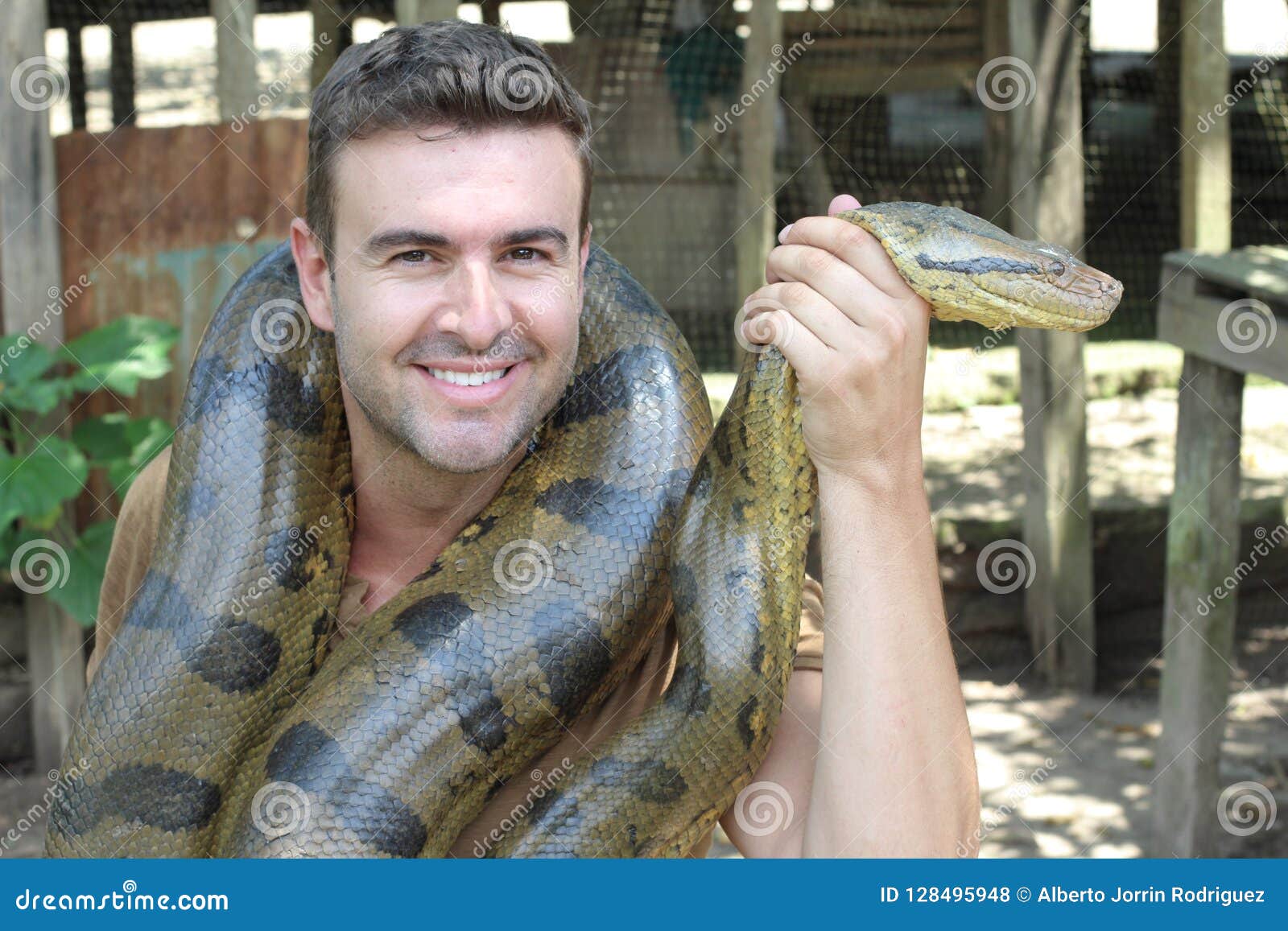 Man with a Giant Anaconda Around His Neck Stock Photo - Image of africa,  captivity: 128495948
